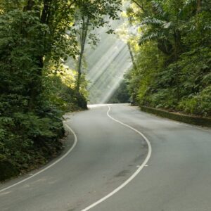 Fern-Gully-St.-Ann-1-min-e1526590678448