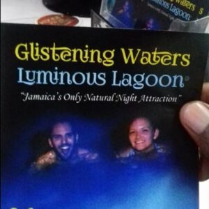 luminous lagoon